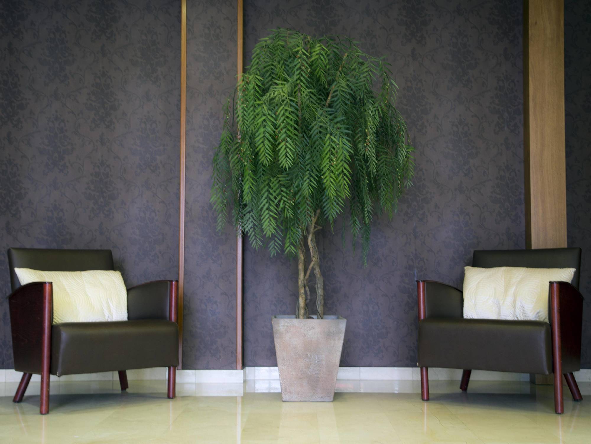 Bcn Urbaness Hotels Del Comte Barcelona Ngoại thất bức ảnh